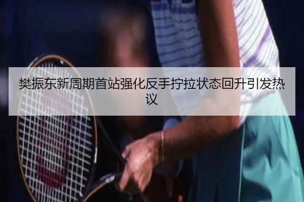樊振东新周期首站强化反手拧拉状态回升引发热议